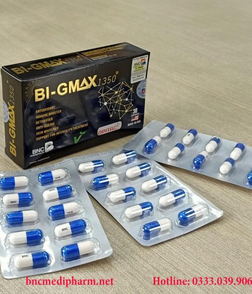 Bi-Gmax-1350-1-500x583.jpg