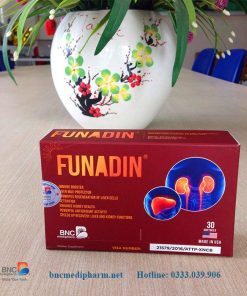Funadin