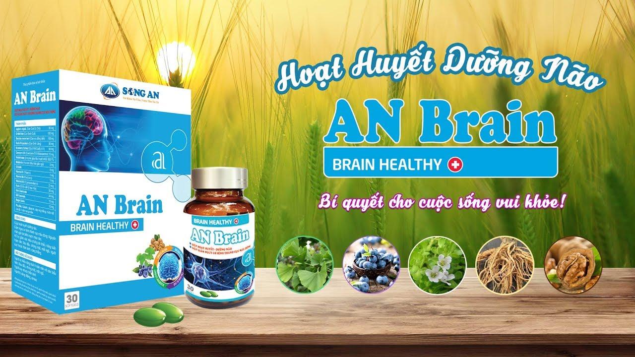 Viên uống hoạt huyết dưỡng não An Brain