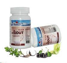 Viên uống MS Gout Support - Hỗ trợ điều trị bệnh Gout hiệu quả