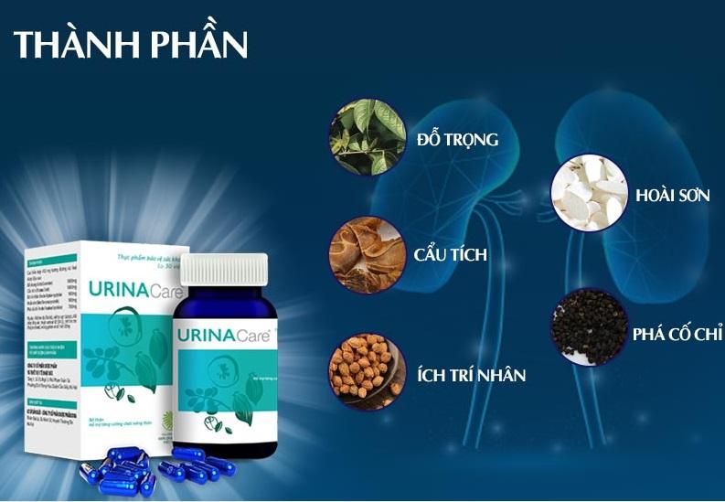Thành phần chính có trong viên uống Urina Care
