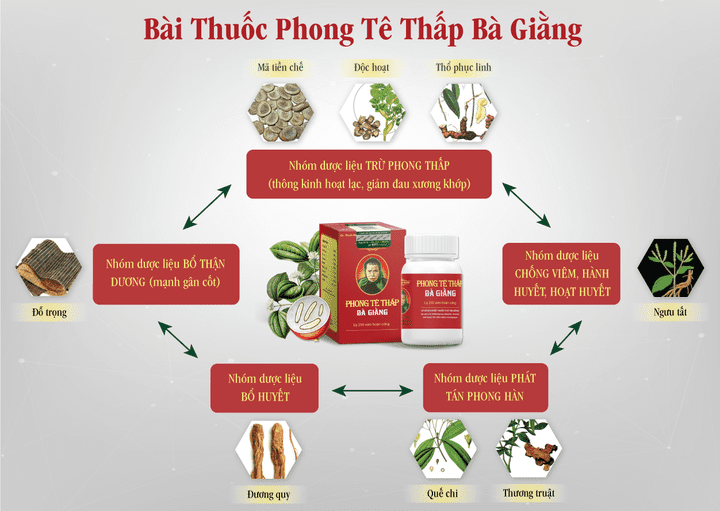 Thành phần có trong viên uống Phong Tê Thấp Bà Giằng